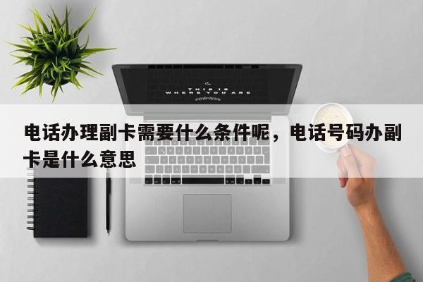 电话办理副卡需要什么条件呢,电话号码办副卡是什么意思