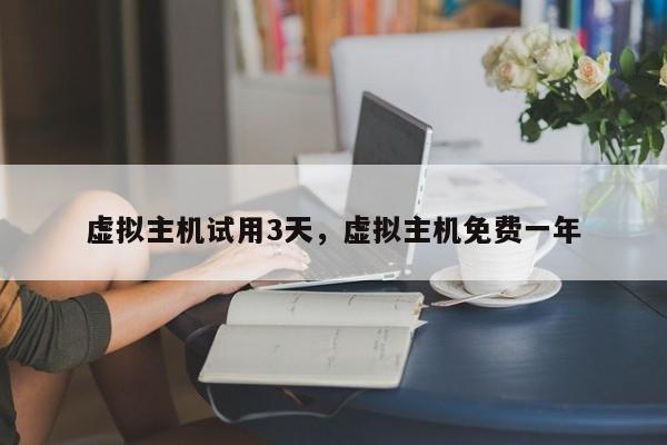 虚拟主机试用3天,虚拟主机免费一年