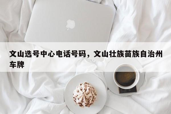 文山选号中心电话号码,文山壮族苗族自治州车牌