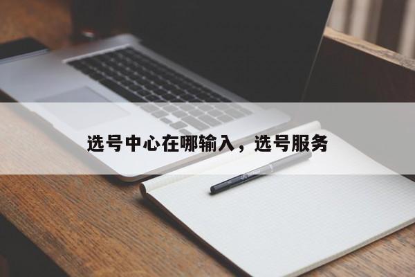 选号中心在哪输入,选号服务