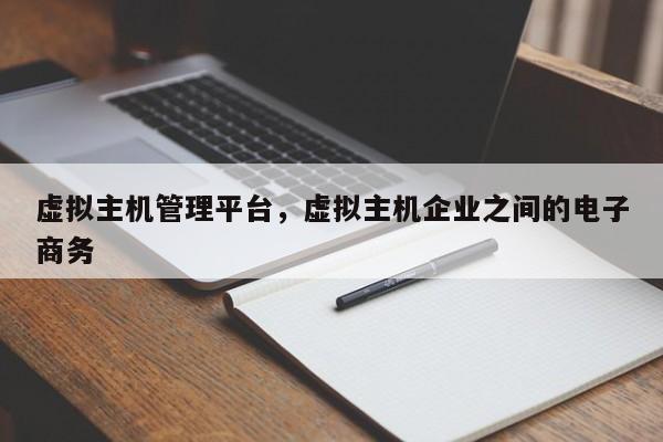 虚拟主机管理平台,虚拟主机企业之间的电子商务